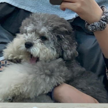 포토리뷰 5