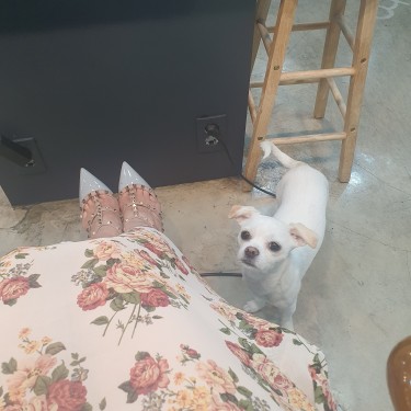 포토리뷰 7