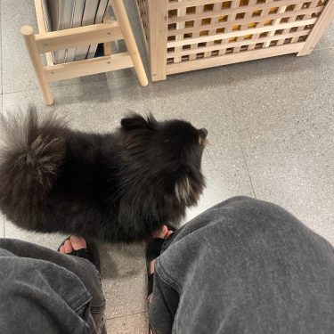 포토리뷰 3