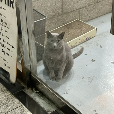 포토리뷰 7