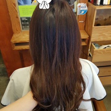 포토리뷰 5