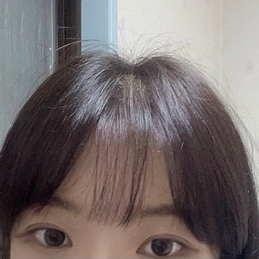 포토리뷰 5