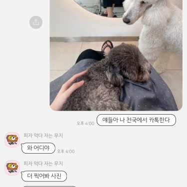 포토리뷰 3