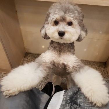 포토리뷰 3