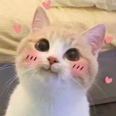 포토리뷰 1