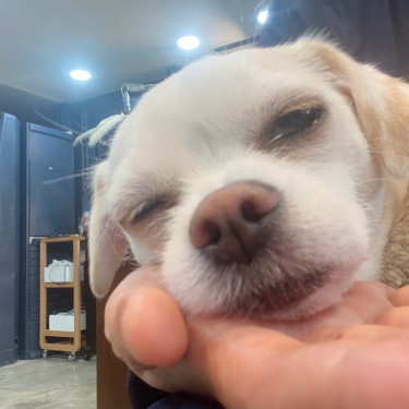 포토리뷰 1