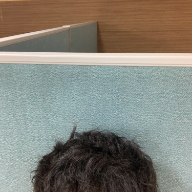 포토리뷰 4
