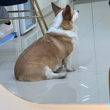 포토리뷰 4