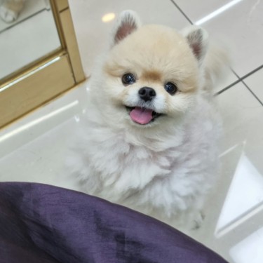 포토리뷰 1