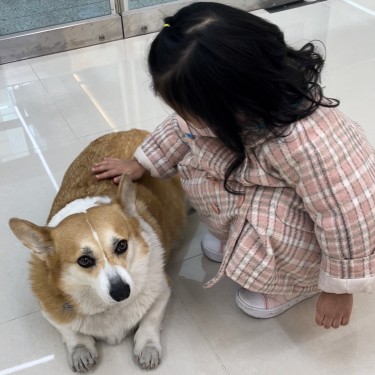 포토리뷰 3