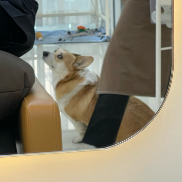 포토리뷰 1