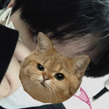 포토리뷰 5