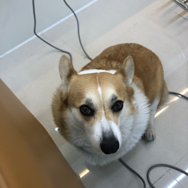 포토리뷰 1