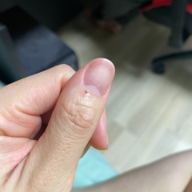 포토리뷰 5