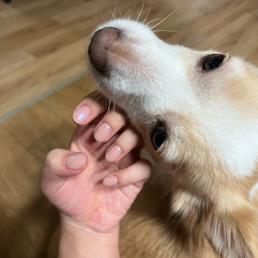 포토리뷰 1