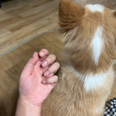 포토리뷰 2