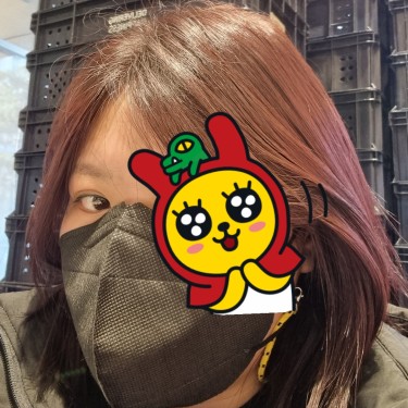 포토리뷰 6