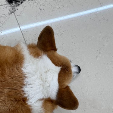 포토리뷰 6