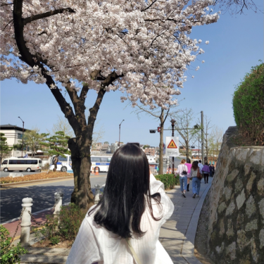 포토리뷰 8