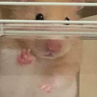 포토리뷰 8