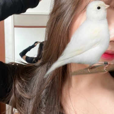 포토리뷰 3