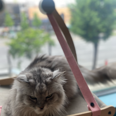 포토리뷰 3
