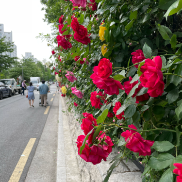 포토리뷰 1