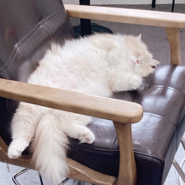 포토리뷰 5