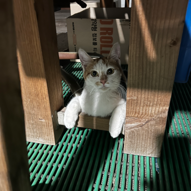 포토리뷰 5