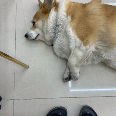 포토리뷰 5