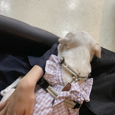 포토리뷰 1