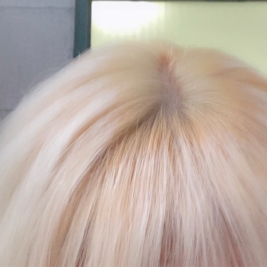 포토리뷰 1