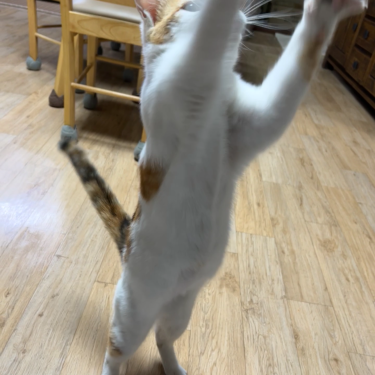 포토리뷰 4