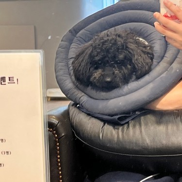 포토리뷰 7