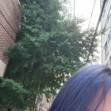 포토리뷰 3