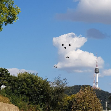 포토리뷰 1