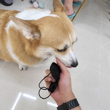 포토리뷰 7