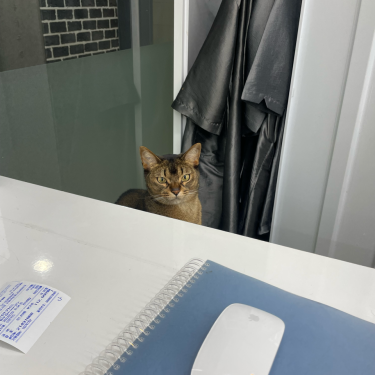 포토리뷰 5