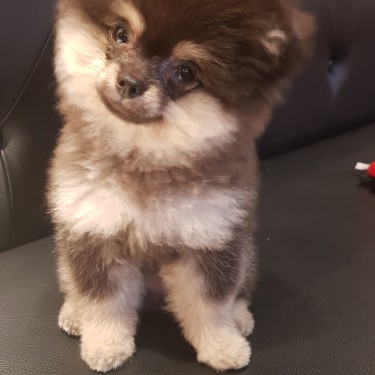 포토리뷰 4