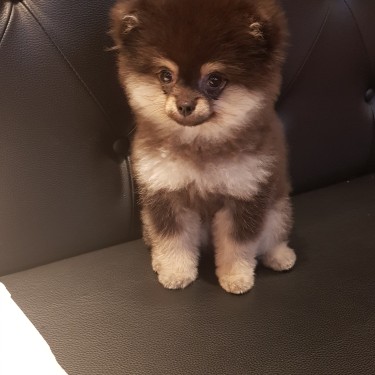 포토리뷰 3
