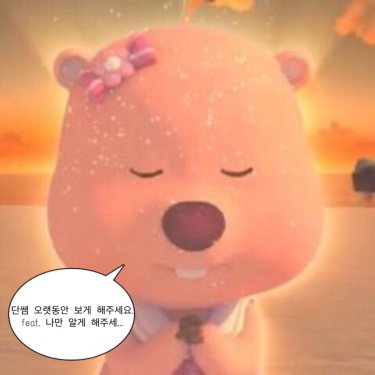 포토리뷰 1