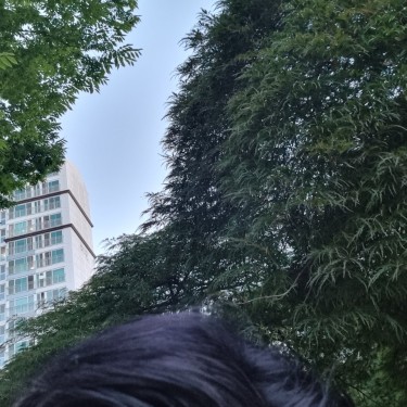 포토리뷰 3