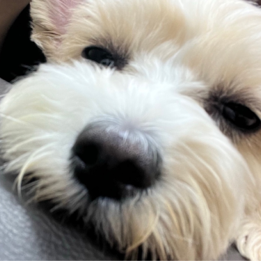 포토리뷰 7