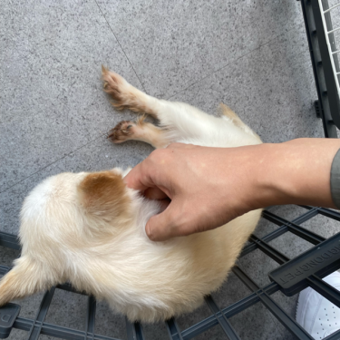 포토리뷰 2