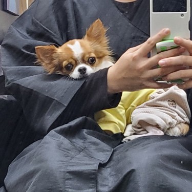 포토리뷰 6