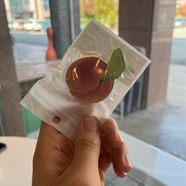 포토리뷰 5