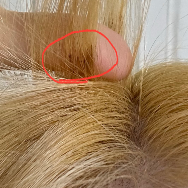 포토리뷰 7