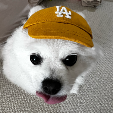 포토리뷰 1
