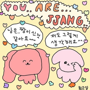 포토리뷰 6
