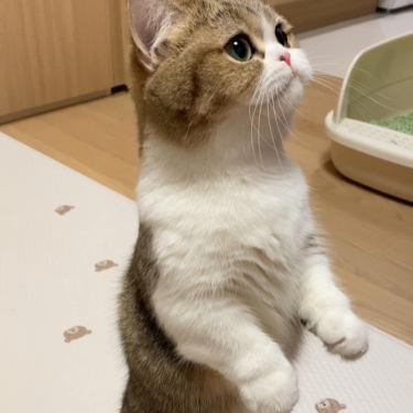 포토리뷰 7